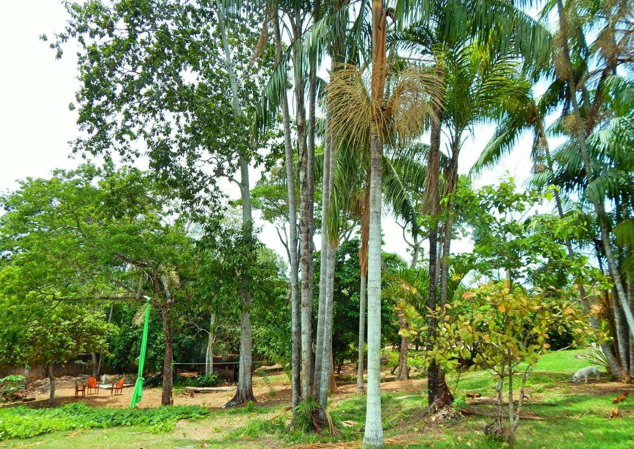 Jardins Guesthouse Rio Branco Eksteriør bilde